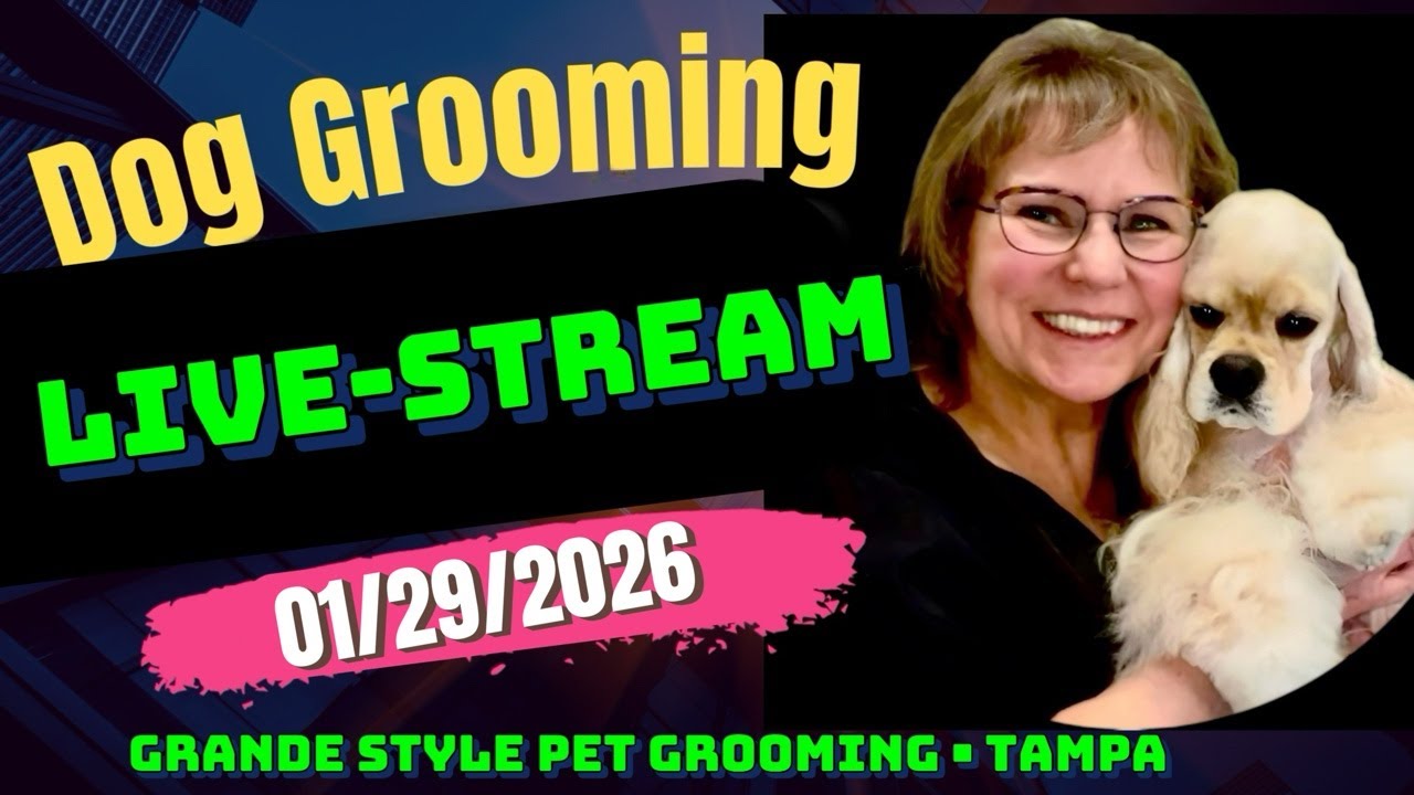 Illustration of Pet Grooming YouTube Auttomatic Captions