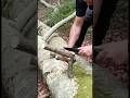 Prueba de campo cuchillo Ka-bar. #cuchillosartesanales #bushcraft #cuchillo #supervivencia #edc