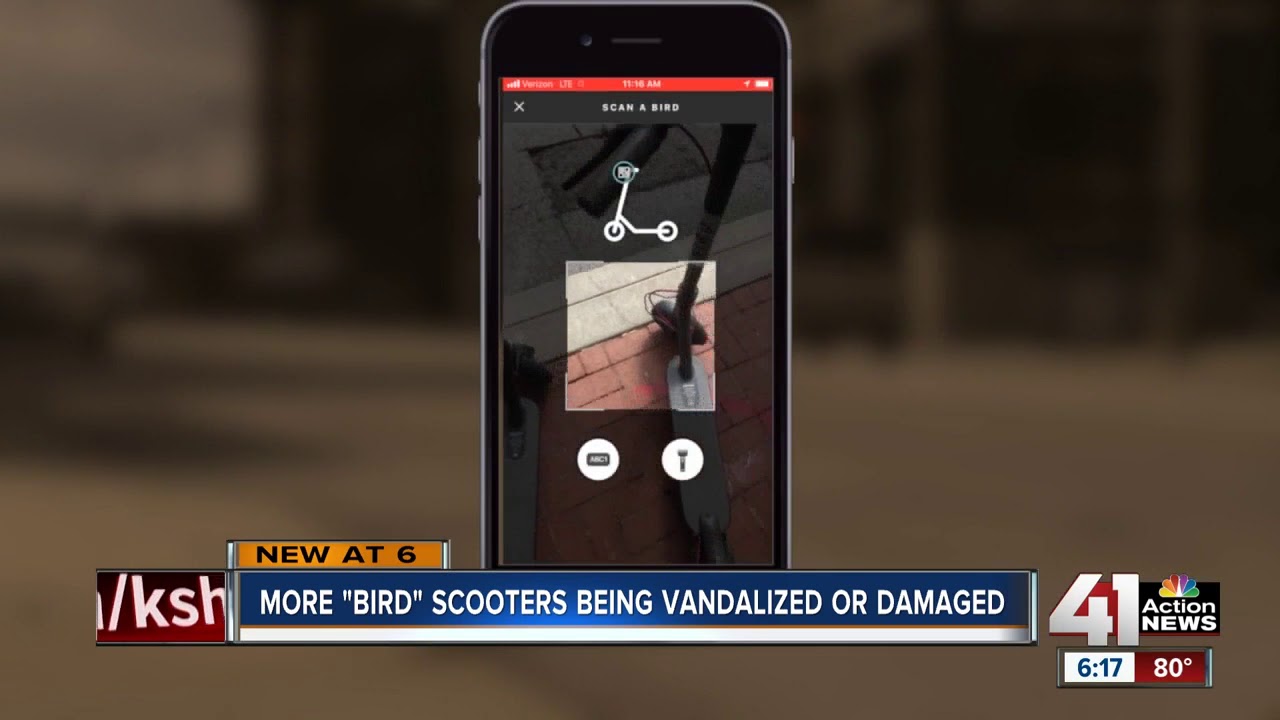 Bird scooters damaged, vandalized in Kansas City YouTube