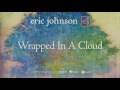 Miniature de la vidéo de la chanson Wrapped In A Cloud