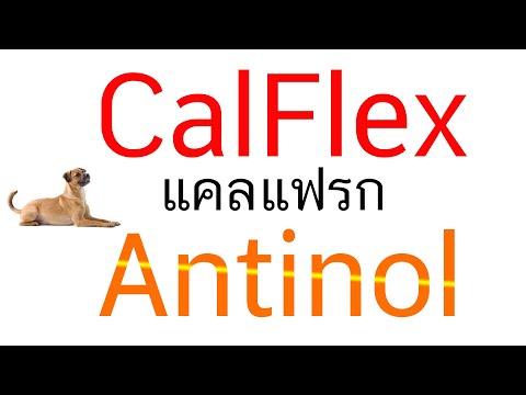 ยา CalFlex calflex ดีไหม CalFlex สุนัข pantip CalFlex pantip Calflex สุนัข ยา Antinol สุนัข ราคา