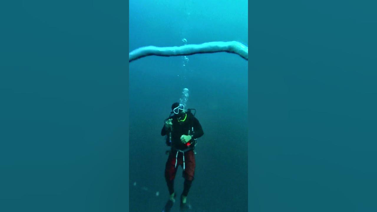 Pinoy scuba guide playing bubbling under water YouTube