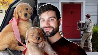 THE FIRST PUPPY GOT ADOPTED! | Episode 23