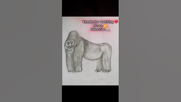charcoal drawing of gorilla 🙈👑🔃#drawing #Gorilla drawing#search viral#artattack