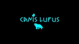 CANIS LUPUS — OC introduction animation. (University FMP)