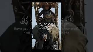 الم تر كيف فعل ربك بأصحاب الفيل#ياسر_الدوسري#سورة_الفيل#ريلز#shortsvideo#shortvideo#shorts#short