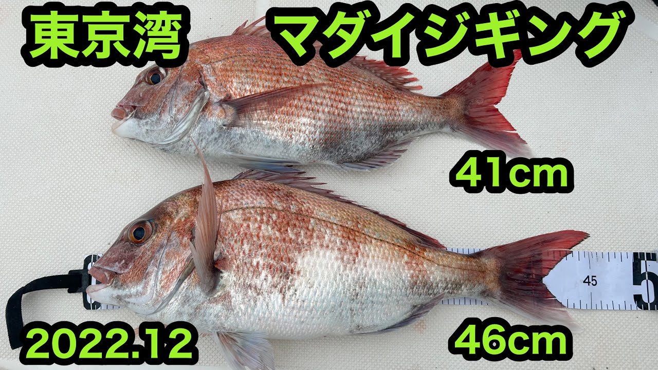 アルバトロス ファーストライト 鯛ジギング 鯛ラバ ひとつテンヤ ② LUXXE がまかつ/ラグゼ 桜幻 鯛テンヤ2 3号 約11g 19-380 鯛ラバ