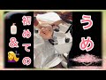 【うめちゃんの初体験💕】初めてシャンプー＆カットしてきました😊💈〜気分はお姫様の巻👸✨〜