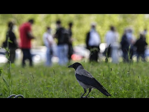 Вакцинация: процесс идёт