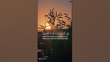 (وآتاكم من كل ما سألتموه وإن تعدوا نعمة الله لا تحصوها) | تلاوة خاشعة مؤثرة #اكسبلور #quran #لايك
