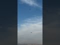 Ryu &amp; Martin Pickering insane flight together Dubai! Gonzo Hobbies #rc #rcaircraft #pilotrc