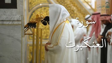 سورة العنكبوت | المصحف الصوتي والمرئي من صلاتي التراويح والتهجد بالمسجد النبوي لعام 1446هـ.