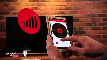 Sengled Puls Flex - LED light + JBL WIFI loudspeaker (ENG)