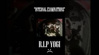 Yogi, The Flying Bear :(