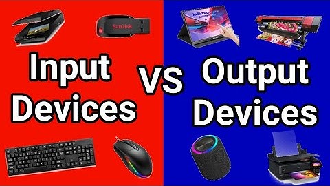 Computer Input and Output Devices | Basic Computer Knowledge for Beginners