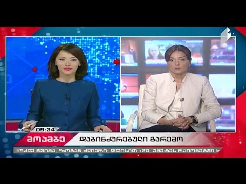 მინისტრის მოადგილე მაია ბითაძე შპს „ჯორჯიან მანგანეზის'' შესახებ