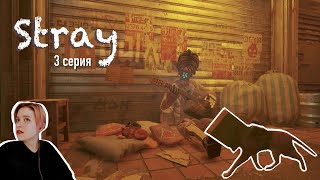 Stray _3_ ЗУРКИ БЕРЕГИТЕСЬ, Я НАШЛА ДЕФЛЮКСОР!