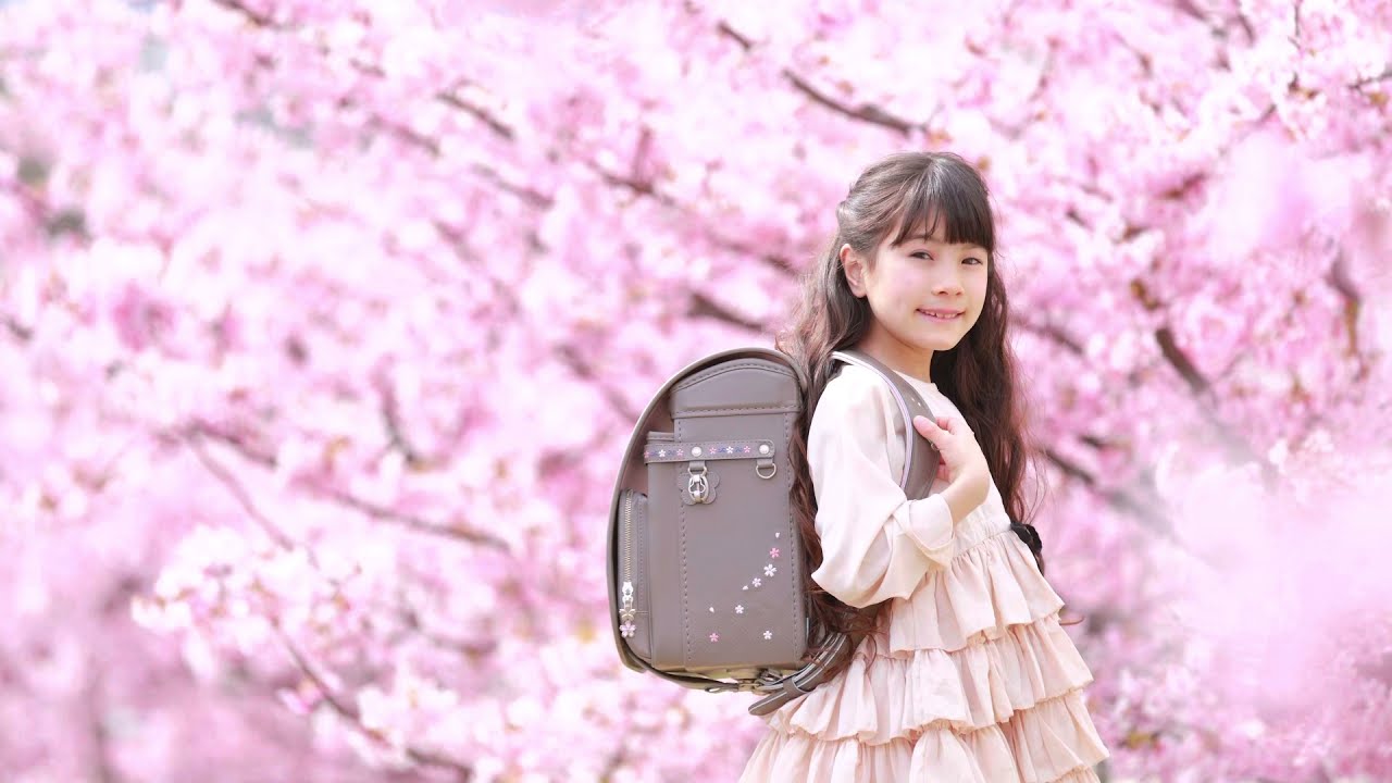 スリジエ 桜 