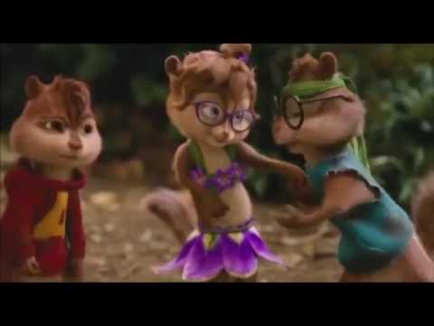 زهير البهاوي تسلا ليا الصولد بصوت السناجب 