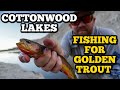 Fishing for Golden Trout | Cottonwood Lakes | Eastern Sierra | 4K