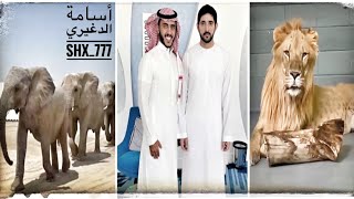 أسامة الدغيري مع الشيخ حمدان بن محمد بن راشد ال مكتوم ولى عهد دبي