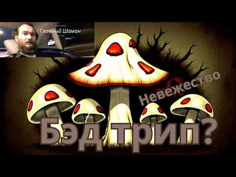 Бэд трип? - YouTube