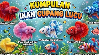 Lagu Ikan Cupang Lucu 