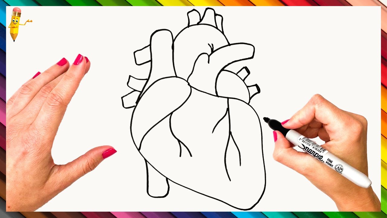 real heart drawing for kids