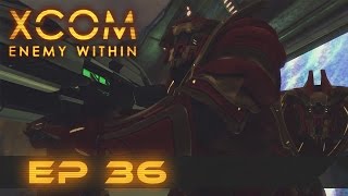 Operation Cryptic Strike - Let's Play XCOM EW Normal - Ep36