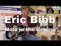 "Mole in the Ground" by Eric Bibb - Global Griot album