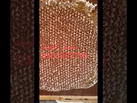 عسل الملوك رأس الخيمه