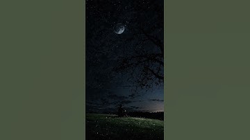 أَن لَّا إِلَـٰهَ إِلَّا أَنتَ سُبْحَانَكَ إِنِّي كُنتُ مِنَ الظَّالِمِينَ القارئ اسلام صبحي