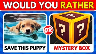 Would You Rather..? Mystery Box Edition ☑️🎁 #mysterybox #wouldyourather