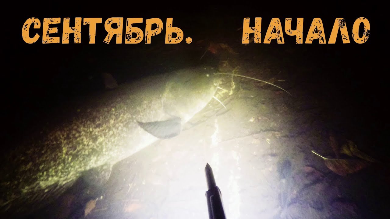 Подводная охота - Сентябрь. Начало