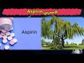الأسبرين أقدم وأشهر الادوية المضاد للحمى والتجلطات تعرف علي ال Aspirin 