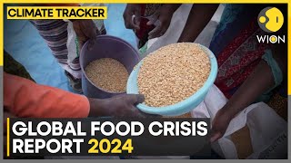 Global Food Crisis 2024 report: 1 in 5 people in need of urgent action | WION Climate Tracker