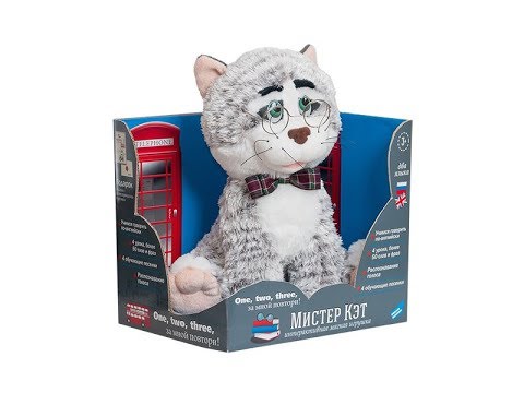 Ученый Кот Интернет Магазин Игрушек