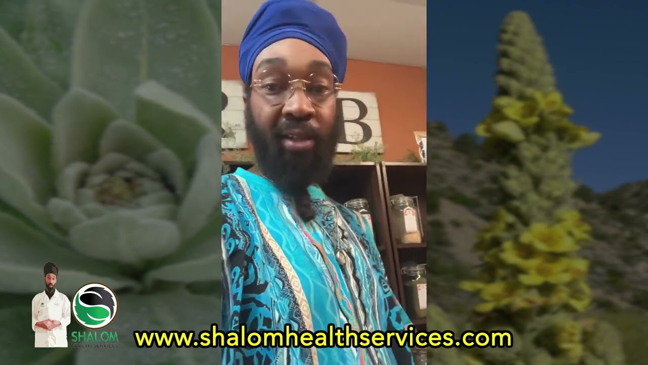 Трава дня: лист коровяка