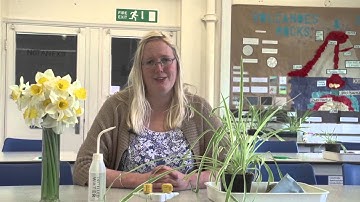 Teacher Training: Primary Science | Oxford Brookes University