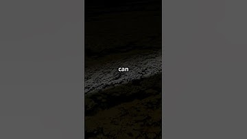 Unlocking the Science of Decision-Making🌟  #Psychology #Science #HumanBehavior #Shorts #Mindfulness