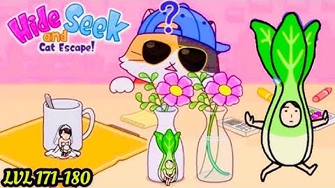 Hide and Seek: Cat Escape Level 171-180