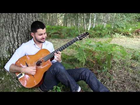 Dans les sous bois - Indifférence - Clément Reboul 