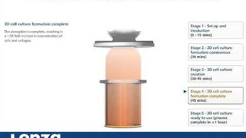 RAFT™ 3D Cell Culture System - Lonza