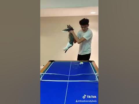 ping pong running around table｜TikTok Search