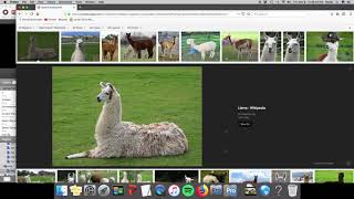Adding Media To ProPresenter