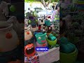 “Un Día de Pelos” en Silao reúne 145 trenzas y 400 kilos de tapitas para niños con cáncer