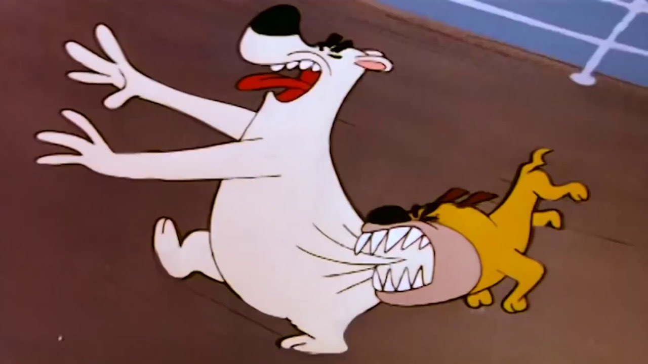 Picolino em Português 🐧A Lenda do Pico da Canção de Ninar  🐧Compilação | Desenhos Anima