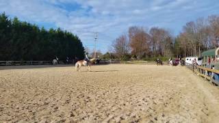 Herding Cats Drill Team show part one 12/3/16 20161203 093949