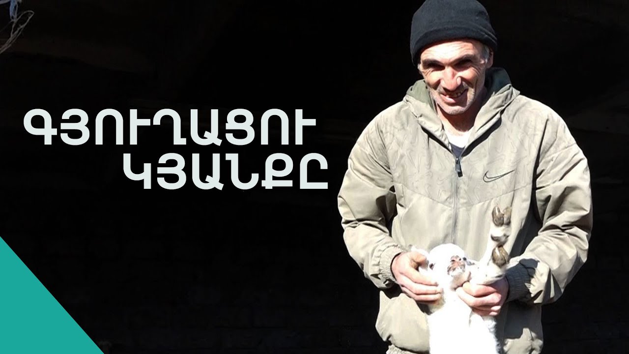 Հաջողակ գյուղացին հարսնացու է փնտրում