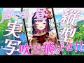 🏮【 実写歌枠 】土曜昼!!週末最高の始まりにしちゃいましょっ #shorts #Vtuber 【 響架 】